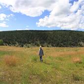 OK Ranch - Cyril's Field