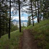 Kenna Cartwright Nature Park - Upper Doc Findlay Trail