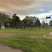 River Street Dog Park