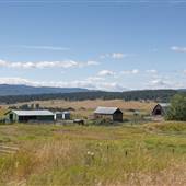 ECCOTT RANCH