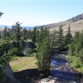 Nicola River at Upper Nicola Indian Band Reserve #3