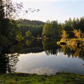 Mary Lake Nature Sanctuary