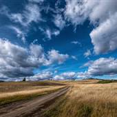 Kamloops South Rangelands Highlights