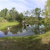HDS -  2 Ponds connected by Wood Bridge