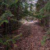 Trail - DSB Ranch near Lake #103 - Trail Walk from SE End to South End