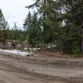 Boulder Mountain Road and Juniper Field near Posby Lake