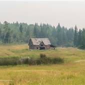 Briggs Property Homestead