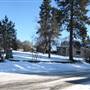 Cranbrook Heritage Homes Winter