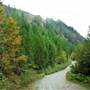 Timberwest Nanaimo Lakes Roads