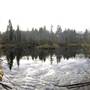 Willow Creek Conservation Area