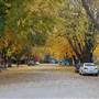 MAPLE STREET AUTUMN