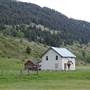 BRIDESVILLE  FOUTY RANCH
