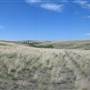 *DLR Parker Harris Field Grasslands & Creek