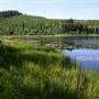 Bonaparte Plateau, Lake, Ponds & Trails