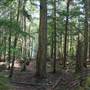 Clearwater River Kayak Trail