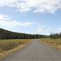 Tunkwa Lake Road Through Tunkwa Provincial Park