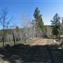 Hector Forest Service Road off Highway 97C