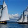SALTS Tall Ships