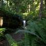 Kinman Campsite