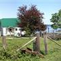 Sunnis Farm