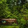 Carmanah Walbran Provincial Park