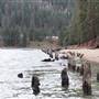 CRESCENT VALLEY BEACH