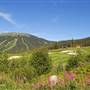 Sun Peaks Resort 111a Golf Course SUMMER