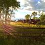 Flying U Ranch