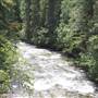 Harper Creek into North Barriere Lake