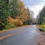 Plummer Road