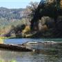 Slocan River - Winlaw Nature Park