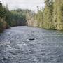 The Campbell River