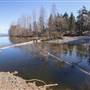 Oyster River Estuary