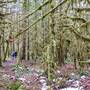 China Creek Trail