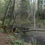 Arthur Mayse Side Channel Trail