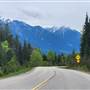Golden Road + Mountain Snapshots
