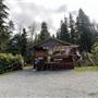 Forest Campground Telegraph Cove