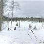 DLR Coalmont Road Fields, Aspen Trees & Road 11Km WINTER