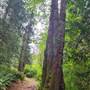 Roberts Memorial Provincial Park