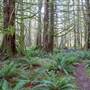 Bevan Trails