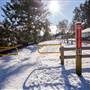 Courtenay Riverway Trail Extension