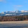 Private Acreage with Barn