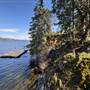 Shawnigan Lake Cabins