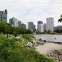 English Bay Beach & Area