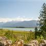 Widgeon Marsh Regional Park - Lookout