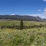Hat Creek Road SPRING and SUMMER