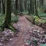 Thornhill Trails