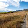 Ashcroft Ranch - Cornwall