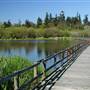 Blenkinsop Lake (off Lochside Trail)