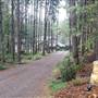 Private Westcoast Acreage Home